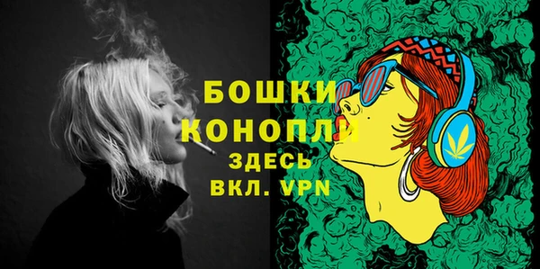твердый Гусиноозёрск