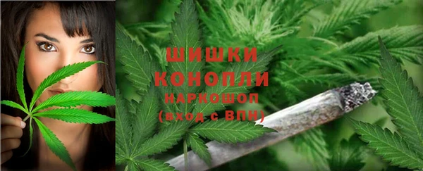 винт Арсеньев