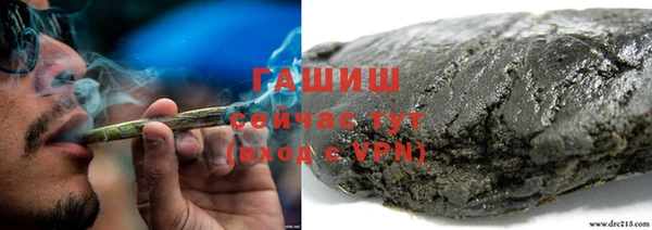 ГАЛЛЮЦИНОГЕННЫЕ ГРИБЫ Гусев